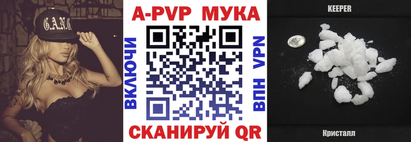 что такое Избербаш мега ТОР Альфа ПВП крисы CK