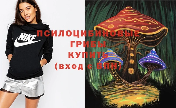 гидропоника Балахна