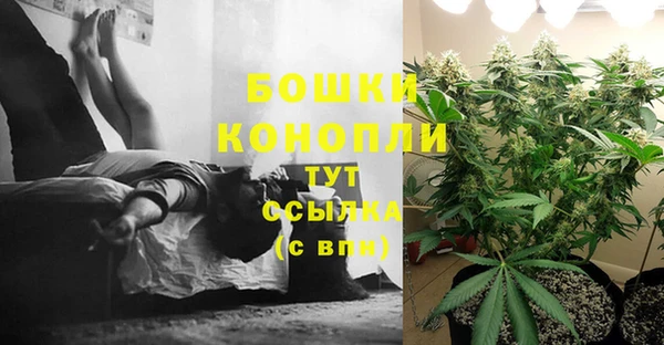 гидропоника Балахна