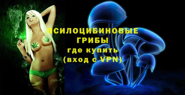 стафф Баксан