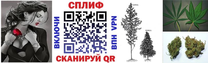 Канабис ГИДРОПОН  где продают наркотики  Избербаш 